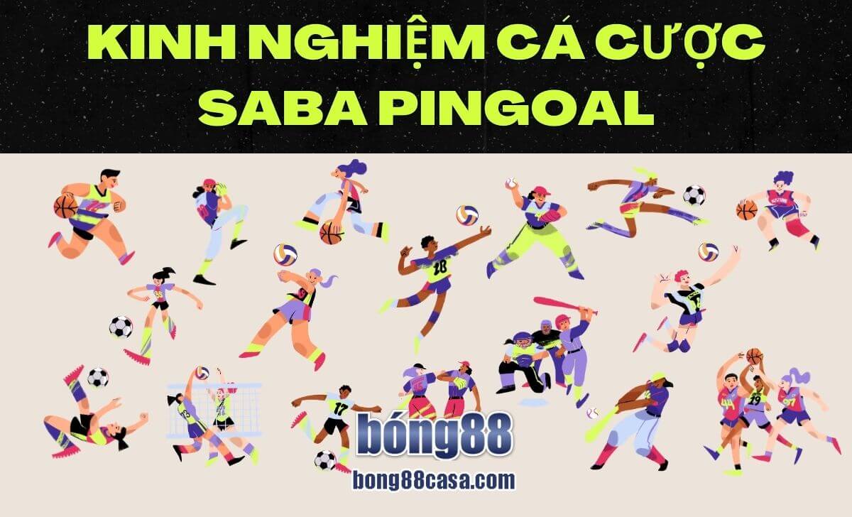 Kinh nghiệm cá cược Saba PinGoal